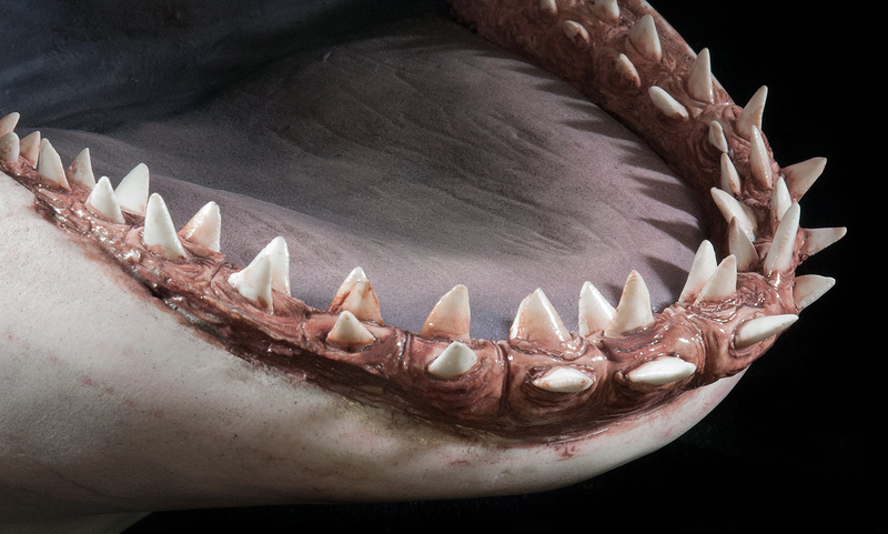 Illustration for article titled You Can Customize the Level of Gore Detail On This Jaws Shark Bust